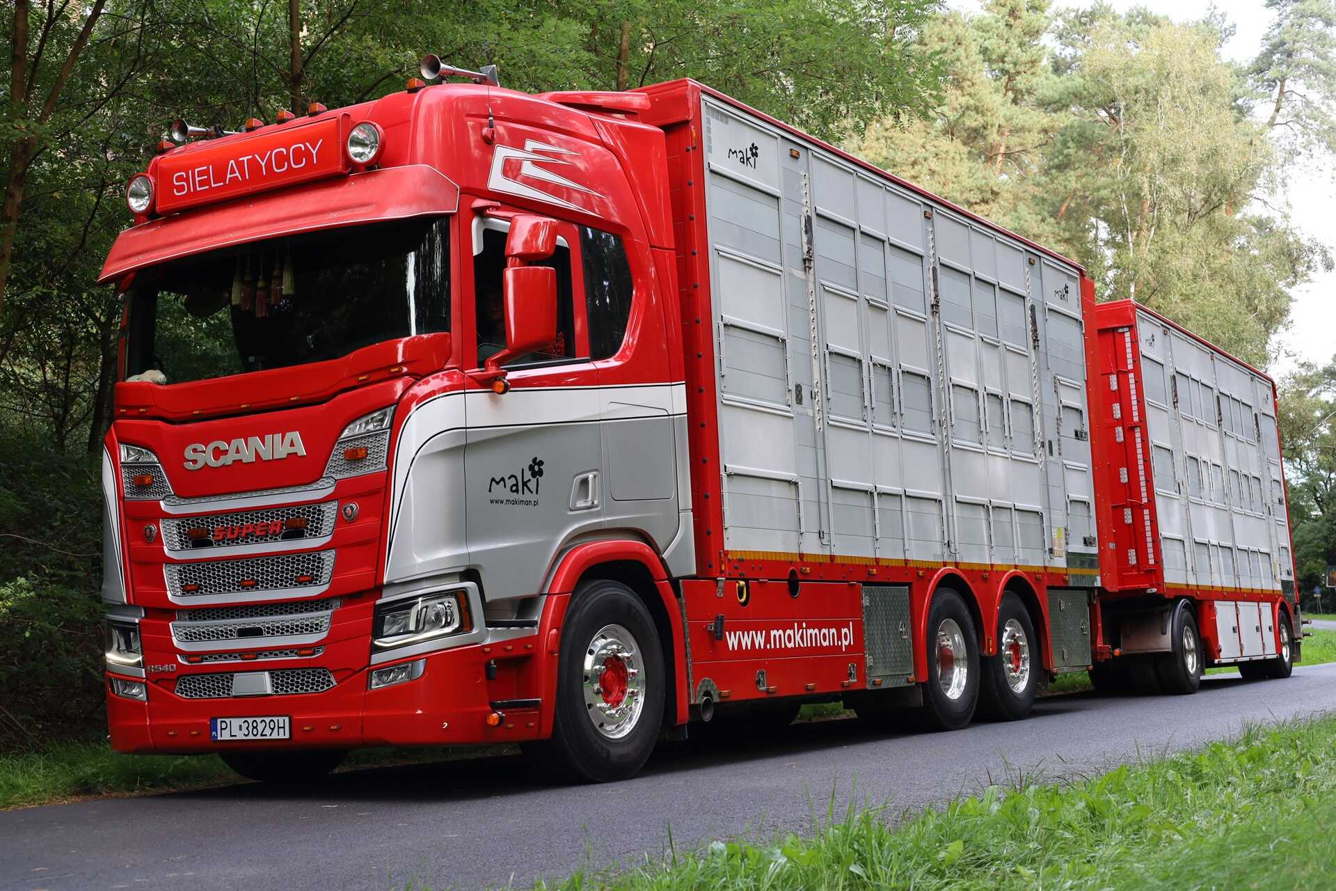 Skup żywca wielkopolska